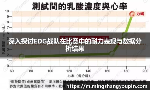 深入探讨EDG战队在比赛中的耐力表现与数据分析结果