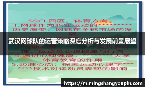 武汉网球队的运营策略深度分析与发展前景展望